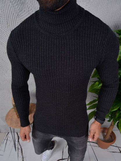 Herren Rollkragen Pullover