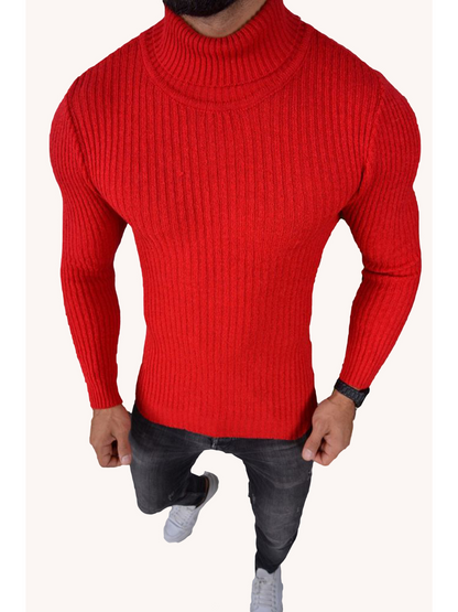 Herren Rollkragen Pullover