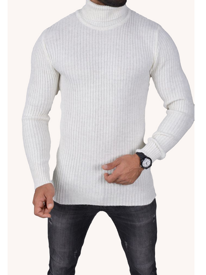 Herren Rollkragen Pullover