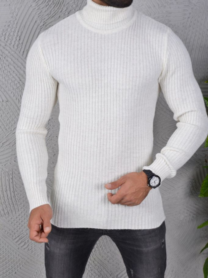 Herren Rollkragen Pullover